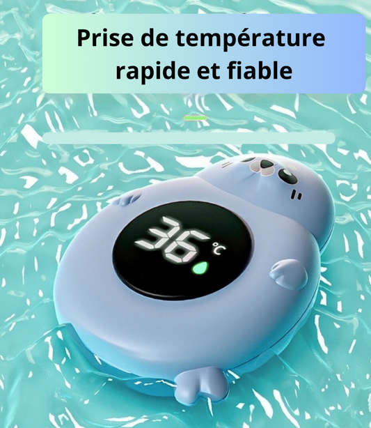 Thermomètre numérique